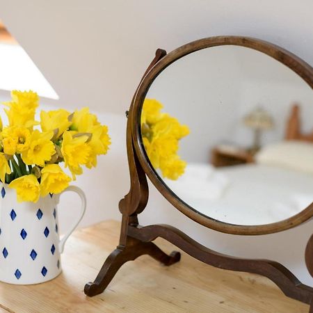 Luccombe Farm Holiday Cottages Milton Abbas Bagian luar foto
