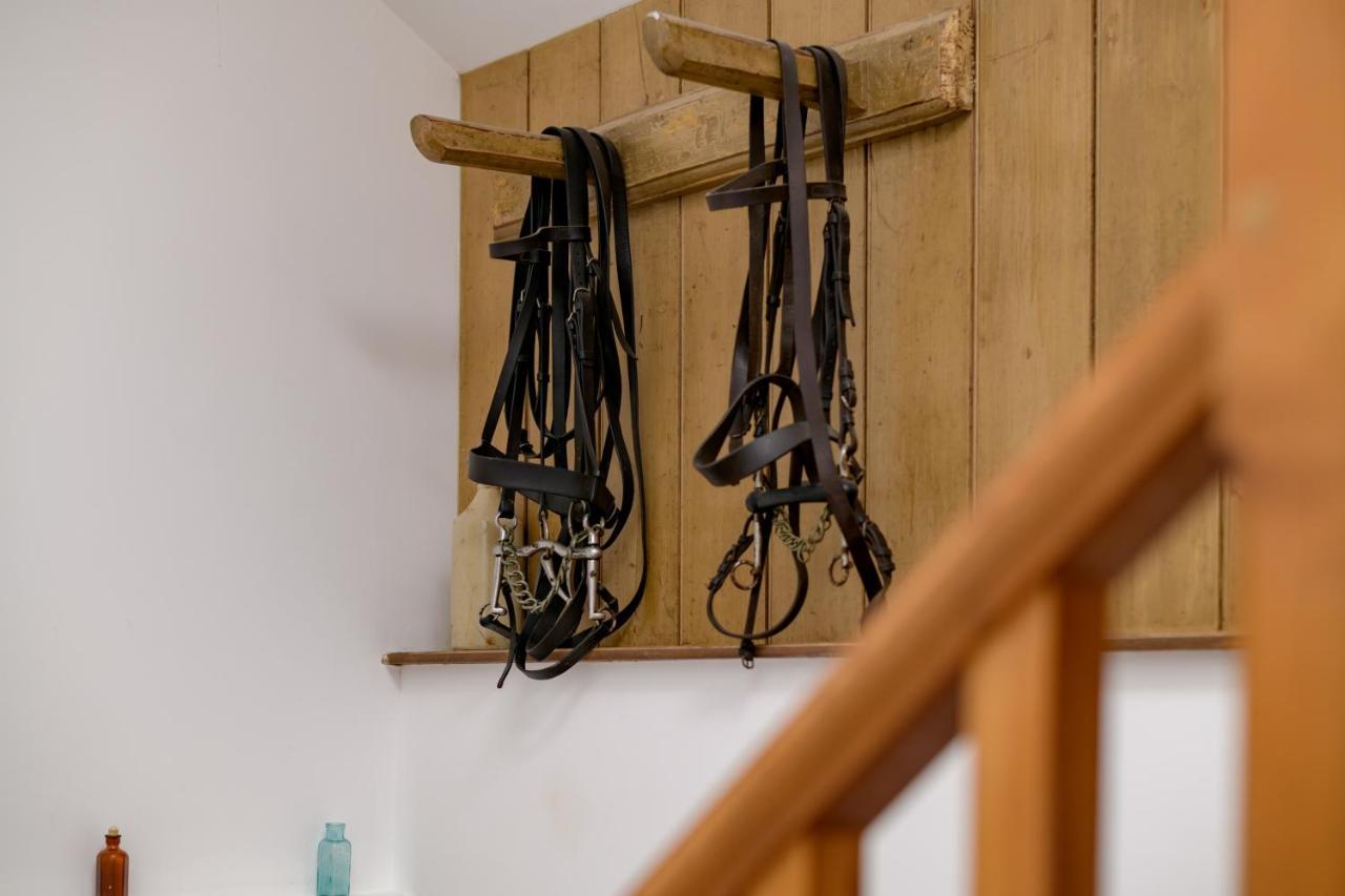 Luccombe Farm Holiday Cottages Milton Abbas Bagian luar foto