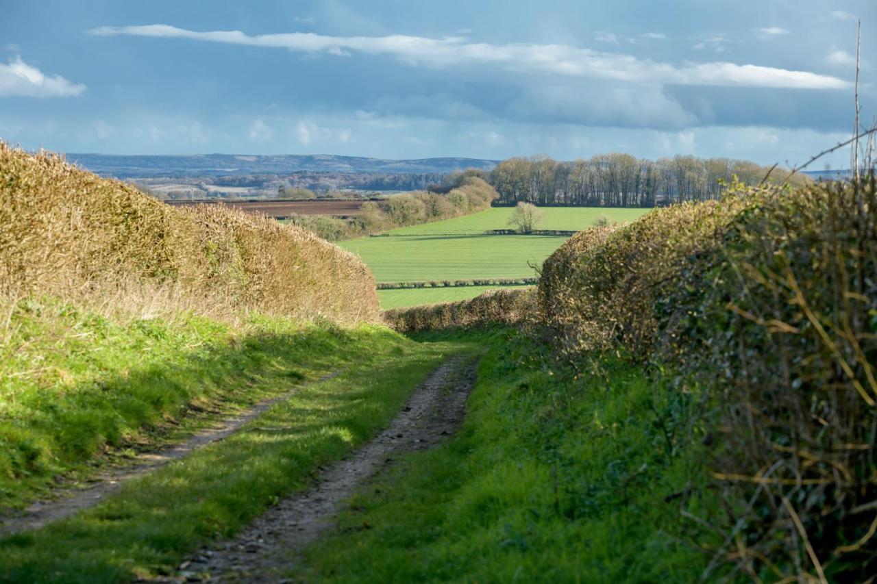 Luccombe Farm Holiday Cottages Milton Abbas Bagian luar foto