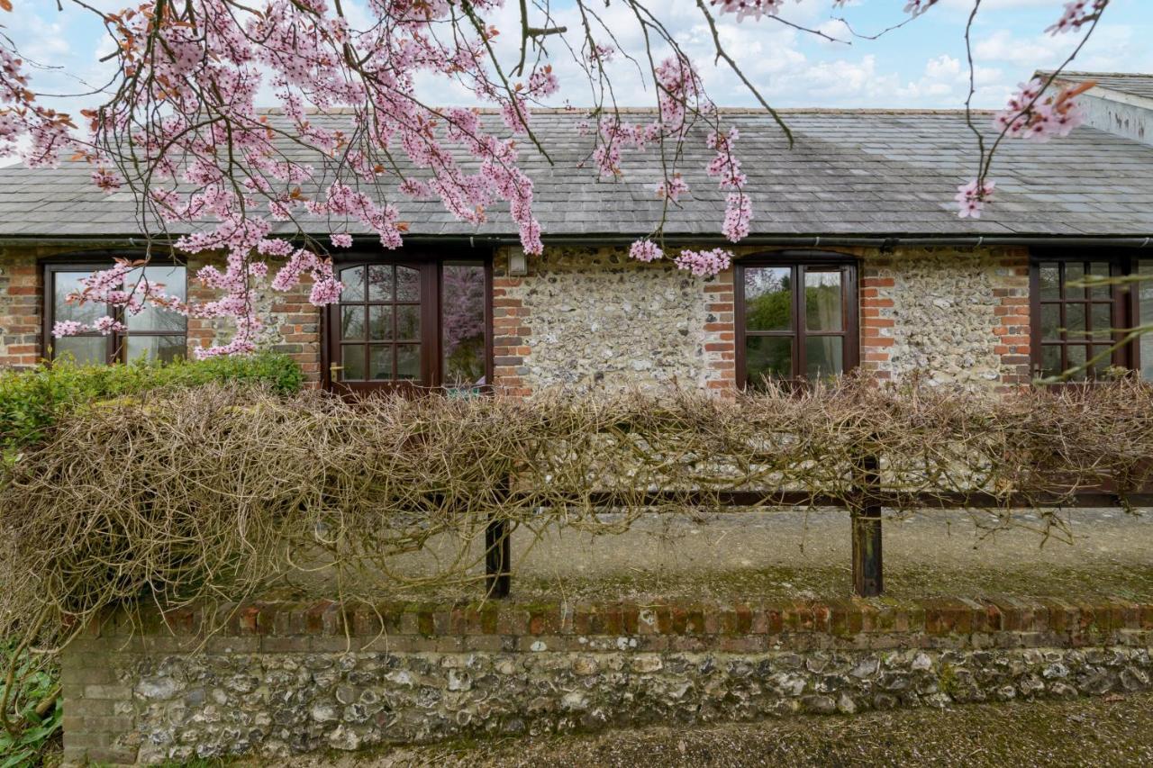 Luccombe Farm Holiday Cottages Milton Abbas Bagian luar foto